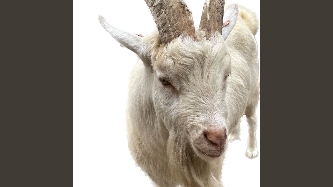 Watch trace on YouTube Watch trace on YouTube