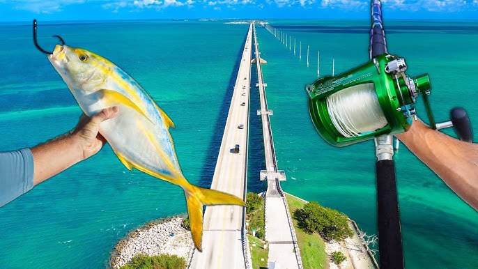 Florida keys bridge fishing. What I learned - Florida Fishing - SurfTalk