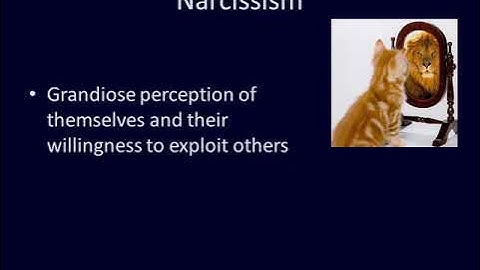 Personality Dark Triad
