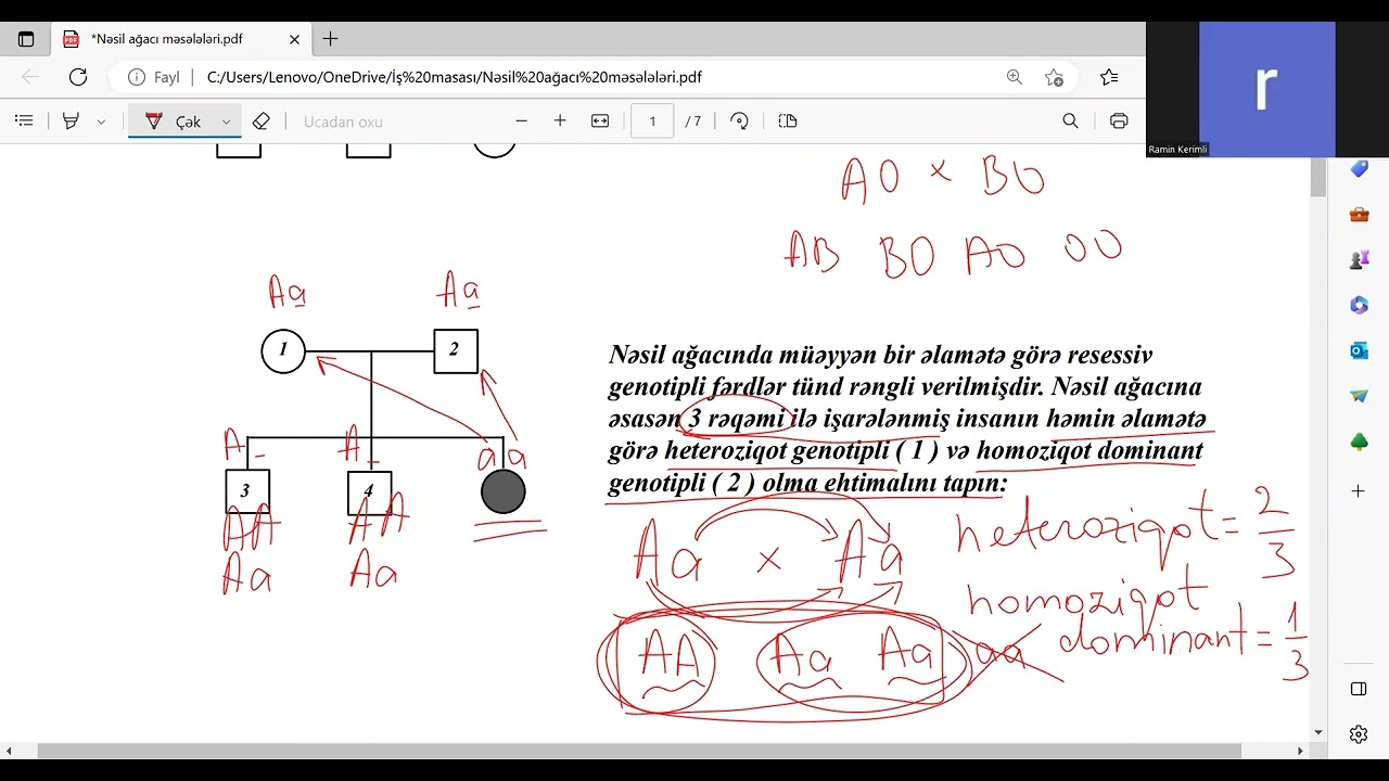 nəsil ağacı məsələləri dərs izahı. fevral qrupu