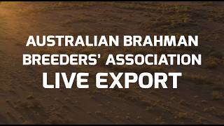 ABBA Live Export Documentary
