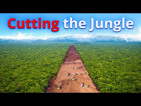 Tren Maya: Mexico‘s