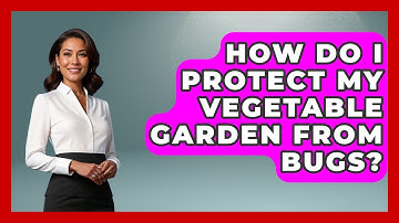 How Do I Protect My Vegetable Garden From Bugs? - Insects and Invaders