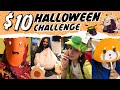 We Made Cheap DIY Halloween Costumes For Under $10 - Pokemon, Ghibli, Sanrio + Mario Cosplay