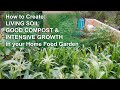 Crez un sol vivant un bon compost et une croissance intensive dans votre jardin