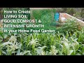 Create Living Soil, Good Compost, & Intensive Growth in your home garden.