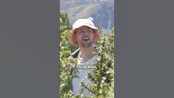 Try Guys Try Magic Mushrooms is out NOW on 2nd try🍄✨