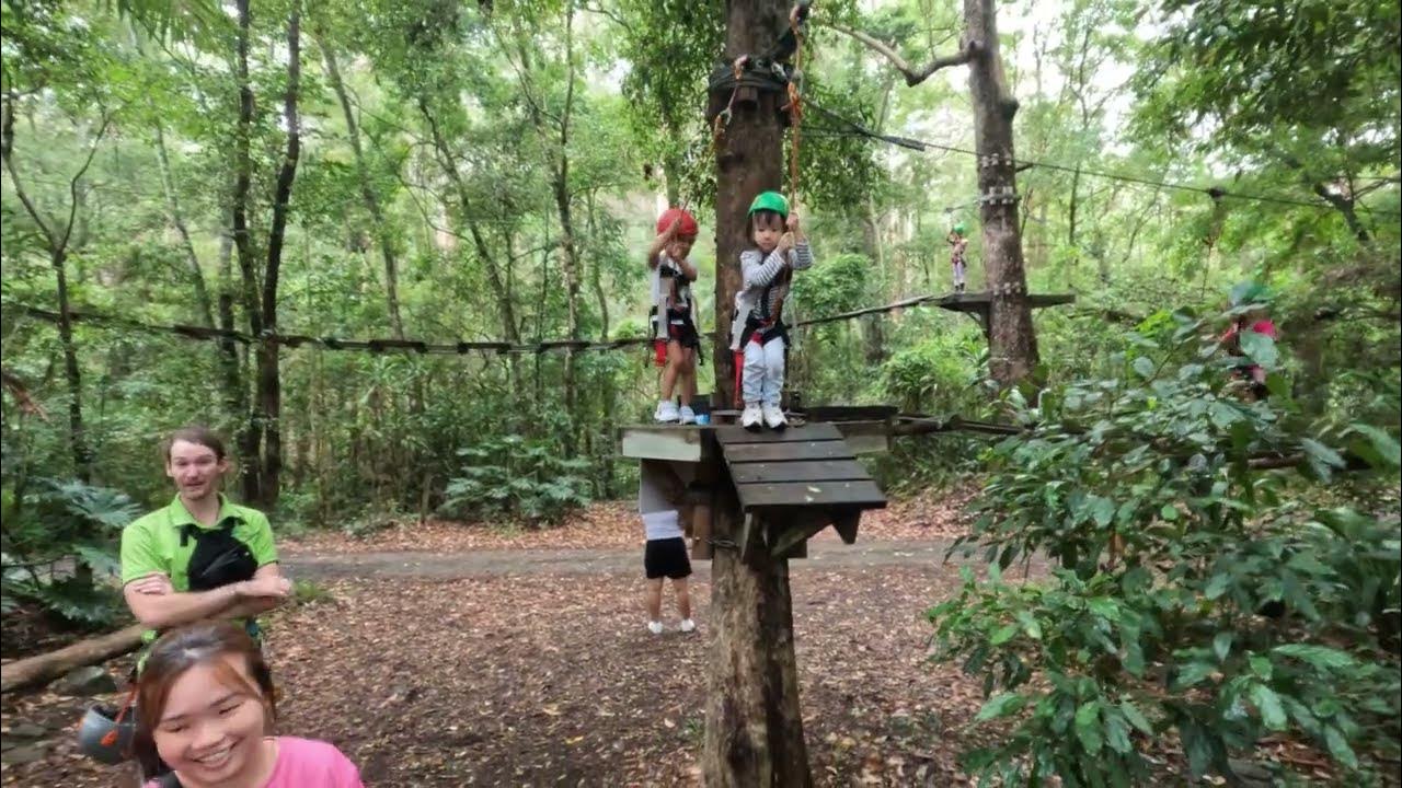 JUNIOR TREETOP CHALLENGE / TAMBORINE MOUNTAIN / THUNDERBIRD PARK