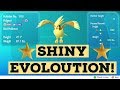 SHINY EVOLOUTION FROM PIDGEY TO PIDGEOT! [POKEMON LETS GO EVEE] SHINY HUNTING