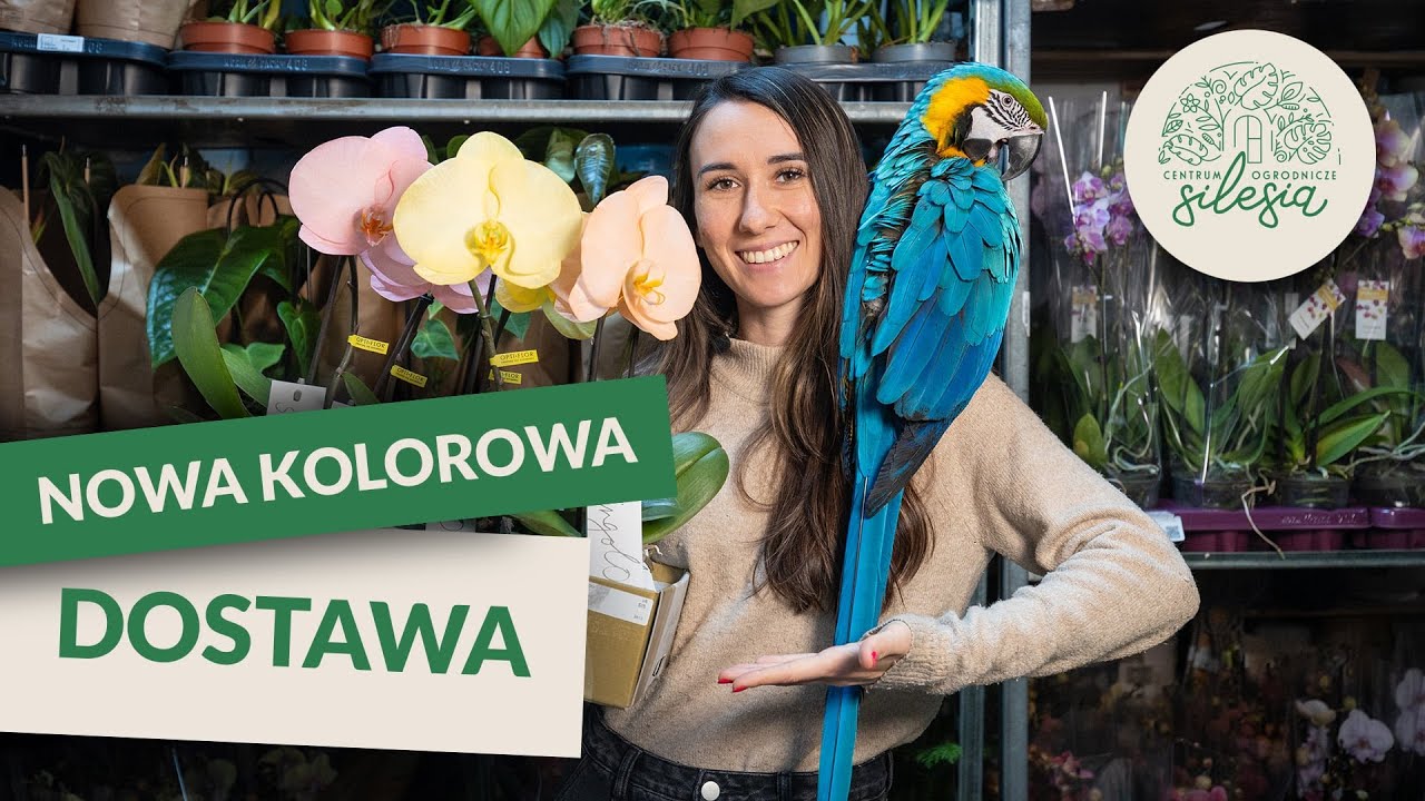 Nowa kolorowa dostawa | Centrum Ogrodnicze Silesia | Po długiej przerwie...
