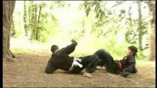 PENCAK SILAT - 5 experts 5 styles Vol 2