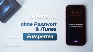 iPhone 12 ohne Passwort & iTunes Entsperren [2024]