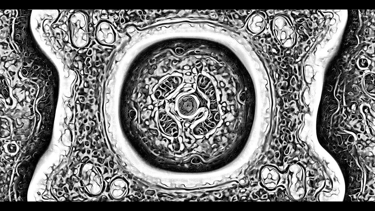 Mitosis slitscan typography