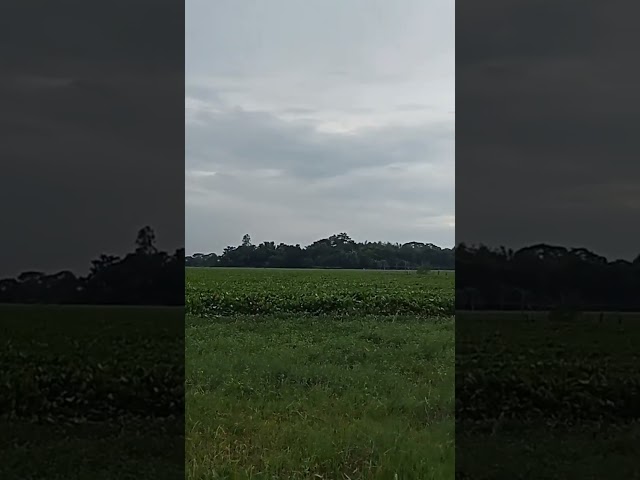 Close with Nature,none Edit.