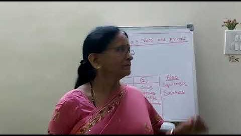 10-08-20, Class:2, EVS, Block-2 S3