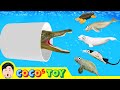 Amazing time travel to meet dinosaurs 2animal cartoons for childrencocostoy