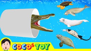 Amazing Time travel to meet dinosaurs 2ㅣanimal cartoons for childrenㅣCoCosToy