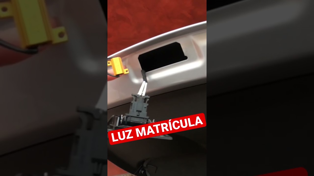 Luz de matrícula no va cambio bombilla y portalámparas conector