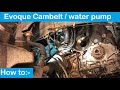 2013 Range Rover Evoque freelander 2.2 cambelt water pump change DW12 Duratorq - How to