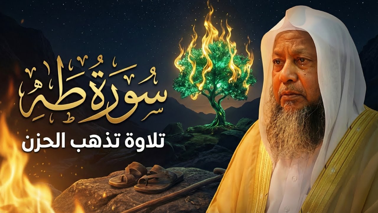 تلاوة تبكي الصخر وتذهب الحزن من محراب النبي ﷺ! سورة طه - محمد أيوب 😭🕋