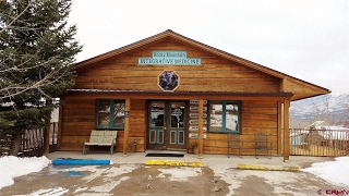 160 S Amelia, Ridgway, CO 81432