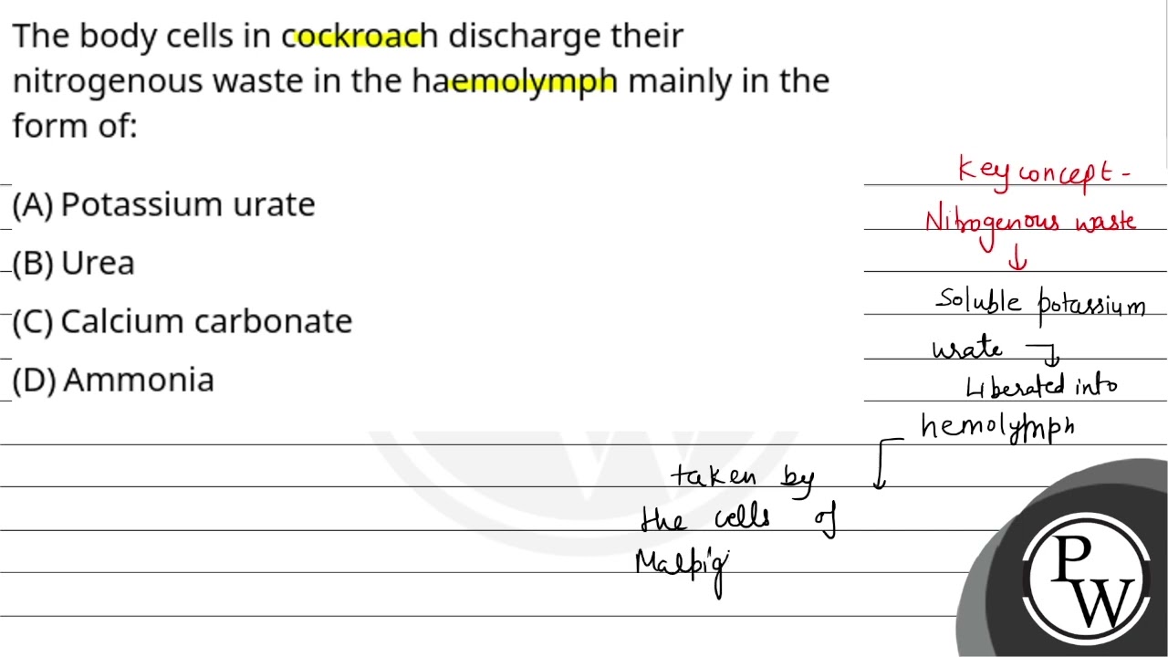The body cells in cockroach discharge their nitrogenous waste in the haemolymph mainly in the fo....