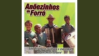 Que forrozão - ANÕESZINHOS DO FORRÓ
