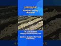 沙琪玛油炸机/Shaqim Frying Machine/Frying Equipment/Continual Frying Equipment