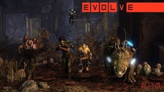 Evolve Alpha (support class) PC