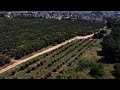 ממלכת מקווה ישראל ריאה ירוקה מלאת טבע בלב גוש דן למי שיכול לשלם ממלכת מקווה ישראל ריאה ירוקה מלאת טבע בלב גוש דן למי שיכול לשלם