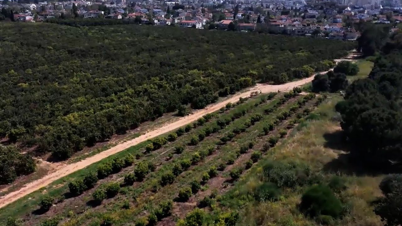 ממלכת מקווה ישראל: ריאה ירוקה מלאת טבע בלב גוש דן, למי שיכול לשלם