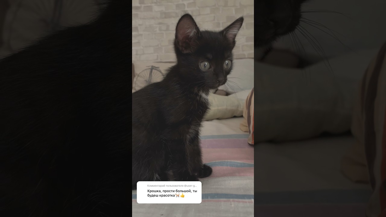 Подросла 😍😻 