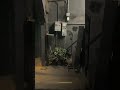 Trap Door: Tunnel Entrance to Workroom at Dracula’s Castle