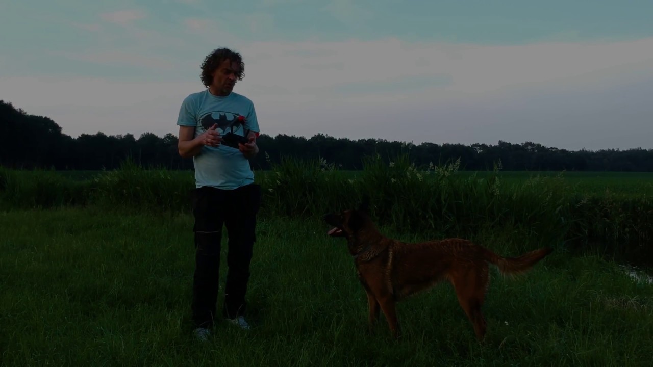 dji spark falabella The daily dog and drone walk episode 7