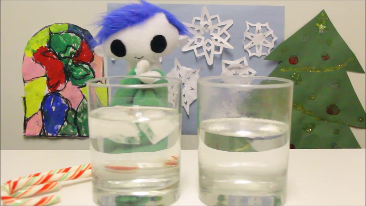 Candy Cane Science Experiment - Science for Kids