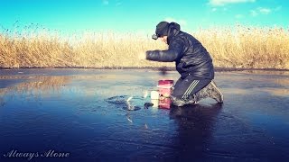 Рыбалка по первому льду. Ловля белой рыбы (плотва, красноперка, густера). Ловля живца. Первый лед.