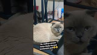 Katya Eve Haki̇mpeki Sizin Robotun Ismi Nedir