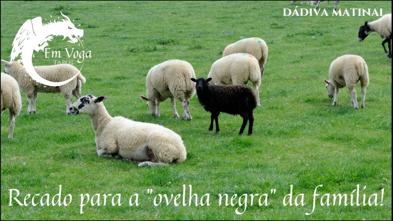 Se você é a Se você é a