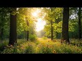 Lairengwa Song In Quenya Translation Of Дуэт Рони и Бирка By Alexander Gorodnitsky 