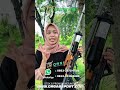 PASER IKAN PREDATOR #orgab #pecinta akurasi