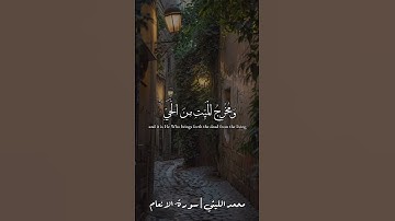 ان الله فالق الحب والنوى | محمد الليثي سورة الانعام
