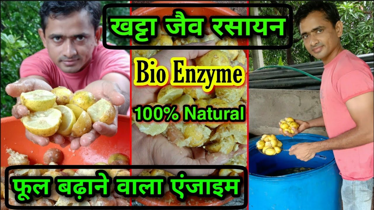 खट्टे फलों से बना जैव रसायन(एंजाइम)~फूलों की संख्या बढाएं | Prepare BIO ENZYME for better Flowering