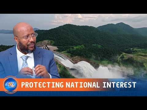 SCHOLARS CALL FOR COLLECTIVE EFFORT TO SAFEGUARD ETHIOPIA S NATIONAL INTERESTS