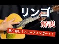 「リンゴ」吉田拓郎 解説