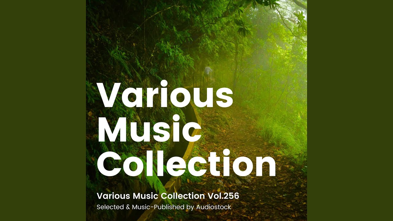 Forest Whispers Gently auf YouTube ansehen