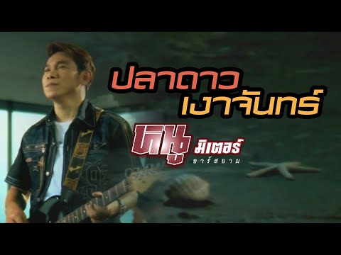 ปลาดาว เงาจันทร์: หนู มิเตอร์ อาร์สยาม [Official MV]