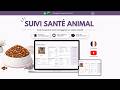SUIVI SANTÉ ANIMAL - Template Google Sheets et Excel - Tutoriel vidéo complet