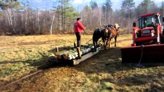Log Scoot