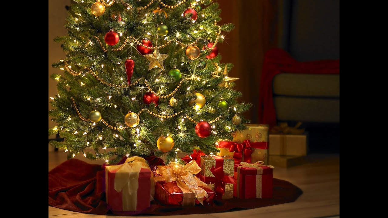 Christmas Trees Forbidden By GOD in The Holy Bible YouTube