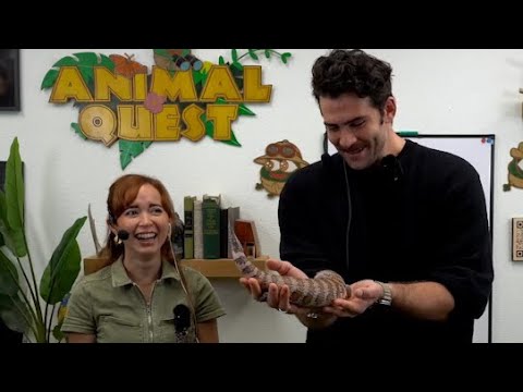 Thumbnail for Hasan visits Alveus Sanctuary W/ Maya